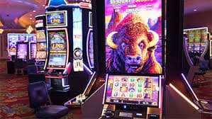 81 bet