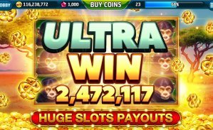 81 bet